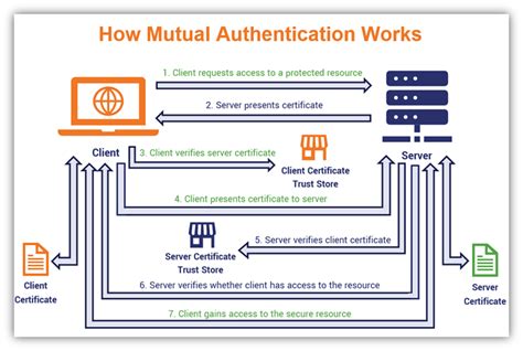 ssl client certificate authorization failed